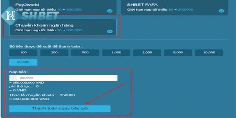 Quy trình thực hiện nạp tiền SHBET nhanh chóng qua ngân hàng
