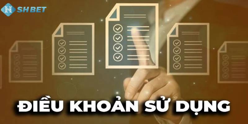 Các điều khoản sử dụng dịch vụ của thành viên